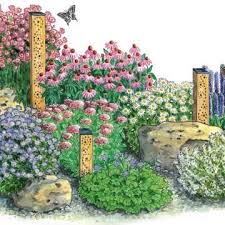 Es Wird Bunt So Legen Sie Eine Blumenwiese An Blumen Wiese Blumenwiese Anlegen Blumenwiese