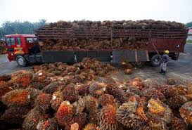 70% of malaysia's trade in manufactured goods is carried by lorries and shipping has increased. Exclusive India Urges Boycott Of Malaysian Palm Oil After Diplomatic Row Sources Reuters