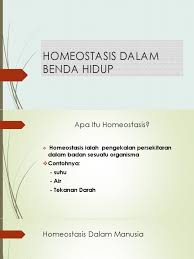 Es kelapa muda bisa dibilang merupakan minuman favorit banyak masyarakat indonesia. Homeostasis Dalam Benda Hidup