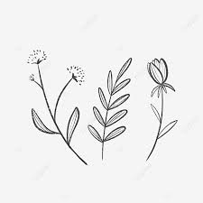 We did not find results for: Three Simple Lined Leaves And Flowers Drawing Nature Leaf Png Transparent Clipart Image And Psd File For Free Download