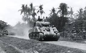 Illustration of the indien panzer in a speculative green livery. Indien Panzer Tanks Encyclopedia