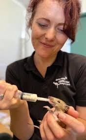 Impact 100 Review 2021 by Scotts