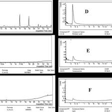 Image result for Xeroderris