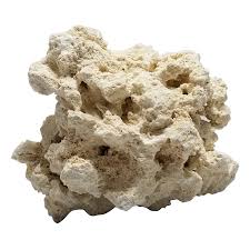 Нирвана рок версия — ганвест. Dry Live Rock Dry Goods Marine Aquarium Supply Algaebarn