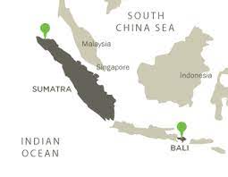 Chvíli před koncem zájezdu sumatra, jáva, bali jsme vyplňovali dotazník s otázkou. Itinerary Bali Sumatra Arcc Programs