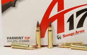 Cartridge Debate 17 Hmr Vs 17 Wsm Gun Digest