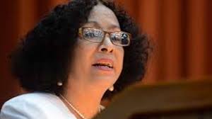 Cuba's Deputy Minister of Higher Education: Professors Must be "Activists  of Revolutionary Politics"