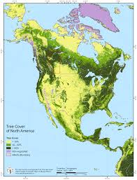 Tree Cover Of North America Geography Map America Map World Geography