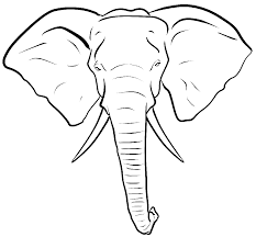 Opal Manor Elephant Head Decoracao