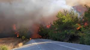 Orman yangını nedir, neden çıkar? N6w9y3mtzim0 M