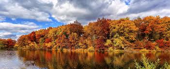 3840x1569 Autumn 4k Hd Wallpaper Download Autumn Landscape Autumn Forest Forest Lake