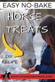 Easy No Bake Horse Treats Savvy Horsewoman Recipe Horse Treats Horse Care Horses
