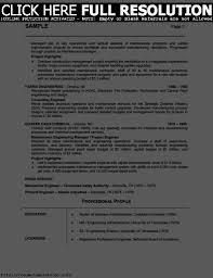 Professional Resume Template Free Resume Builder Resume Http Www Jobresume Website Profession Resume Examples Free Resume Builder Resume Objective Examples