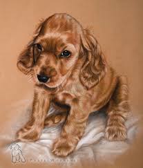 Cocker spaniel puppies bw dog puppy. Cocker Spaniel Puppy In Pastels Pet Portraits Animal Art
