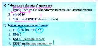 Pin On Pathology