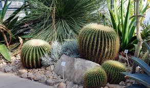 We did not find results for: Botanischer Garten Landeshauptstadt Dresden