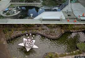 Donald Fels Wastewater Treatment Plant Seattle