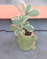 Pin On Ceramics