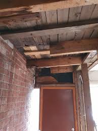 Image result for site:byggahus.se rötskada