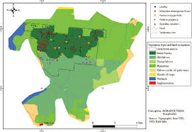 Image result for Pancovia