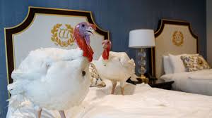 trump spares turkey named butter with a thanksgiving