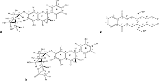 Image result for Bothriocline