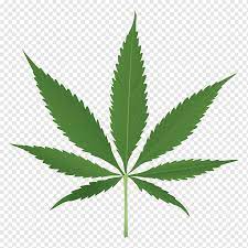 Islamic star pattern with light background stock vector. Cannabis Leaf Joint Cannabis Leaf Plant Stem Hemp Family Png Pngwing