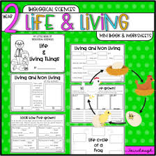 Explore 2nd grade classroom activities to inspire and engage your students. 20 Tremendous Living Things Grow And Change Worksheets Jaimie Bleck