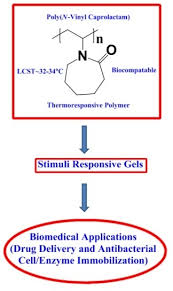 Adriana aguirre mostró cómo le quedó la pierna a tres meses de su violenta caída en el escenario, reclamo legal de adriana aguirre: Gels Free Full Text Stimuli Responsive Poly Vinyl Caprolactam Gels For Biomedical Applications Html