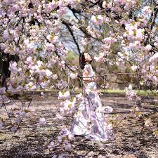If you have not yet selected a floral designer for your fall event, consider crystal flowers. 20 Cherry Blossom Picture Spots That Scream Insta Goals Trifargo