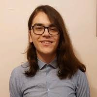 80+ "Sholl" profiles