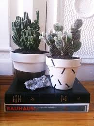 For that reason, the design principle of cactus is to rely on the canonical validator node signatures for verifying proofs. Cat Dash Market Editor Plant Decor Terracota Pots Neon Cactus
