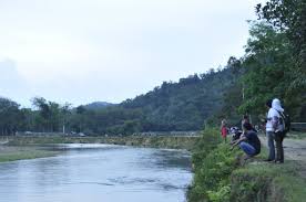 Habitat ikan botia di perairan jernih dengan bebatuan sebagai dasarnya, ikan ini juga di indonesia sendiri ikan louhan banyak di manfaatkan sebagai ikan hias dan juga di manfaatkan juga jenis ikan yang habitat aslinya ada di sungai amazon, amerika selatan. Awal Singingi Sebab Indarung Tanah Yang Sama Senin 09 November 2020 Hulu Sungai Singingi Di Desa Pangkalan Indarung Kabupaten Kuansing Foto Sunting Desa Pangkalan Indarung Adalah Desa Yang Berbatas Langsung Dengan Sumatera Barat