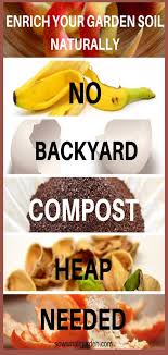 How to get rid of insect and disease pests, and. How To Make Soil Fertile Naturally Sow Small Garden Garden Soil Organic Gardening Tips Gardening For Beginners