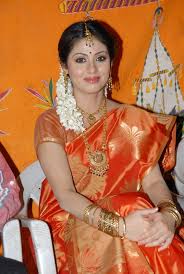 Beauty Galore HD : Sadha Gorgeous And Hot In Orange Saree