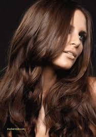 Unique Milk Chocolate Brown Hair Color Coffee Hair Color Hair Color Brown Chestnut Chestnut Hair Color