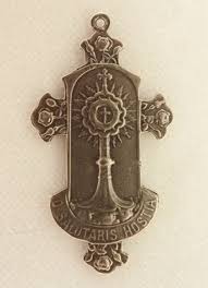 Image result for Faroa salutaris