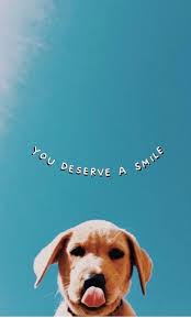Vibeymoods Vsco Cute Dog Wallpaper Puppy Wallpaper Iphone Cute Wallpaper For Phone