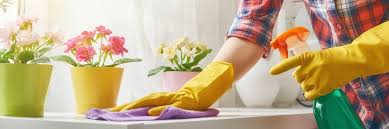 Simulation des charges salariales et patronales d'un emploi cesu en 2019 ou bientôt en 2020 : Contrat De Travail Pour Une Femme De Menage Cesu Guide