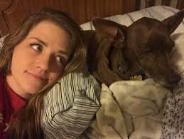 Woman who stops at fatal accident to help is suddenly handed a dog