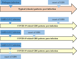 Dr.saad s al ani 13 of patients have a history of an antecedent gastrointestinal or respiratory tract infection 14. Frontiers Sars Cov 2 Infection And Guillain Barre Syndrome A Review On Potential Pathogenic Mechanisms Immunology