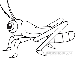 Grasshopper clipart black and white. Search Results For Grasshopper Pictures Clipart Wikiclipart