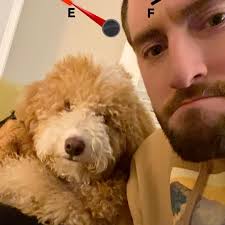 Everyday is #nationaldogday up in this house 🐶🏡