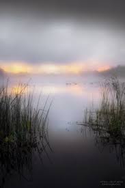 Rebecca Wasniewski Rebeccawasniewski - Profile Pinterest