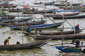 The fishing sector is one of the significant economic sectors in malaysia. Dampak Covid 19 Dinilai Mulai Terasa Di Industri Perikanan Tangkap Antara News