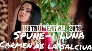 Florin, salam, carmen, salciua, vladuta, lupau, regii, youtube, (album, 2019) iti multumim ca ai ales sa descarci florin. Carmen De La Salciua Ia Spune I Luna Instrumental Negativ 2019 Youtube