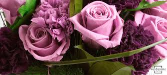 Silica gel is actually more like sand that is found at large craft stores. Are You Looking For Preserved Flowers In Europe Verdissimo