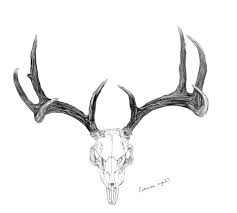 The older the deer receives, the more the antlers branch out. Pin On Art