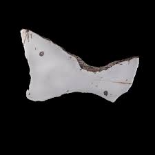 Image result for Calvoa