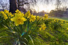 Learn about irish spring weather, best travelling ireland in spring is the perfect season. When Does Spring 2018 Start How S The First Day Decided And Does The Date Change